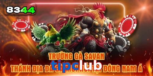 Mơ thấy cá chép – vận may trong học vấn và sự nghiệp